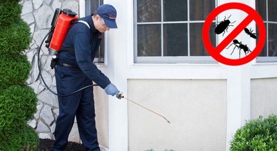 Hocalar Böcek ve Haşere İlaçlama böcek ilaçlama ve haşere kontrolü — ilaclama-tr.com
